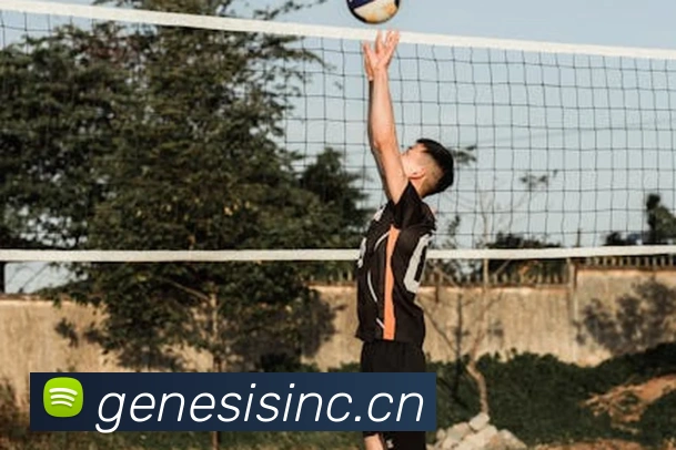 多媒体互动体验